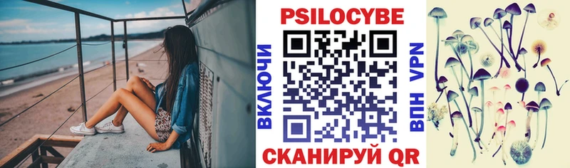 что такое   нарко площадка Telegram  Псилоцибиновые грибы MAGIC MUSHROOMS  Зерноград 